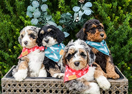 Willow Creek Pet Apparel Bandana Scarf For Dogs & Puppies | Christmas 2 Pack | Dual Layered Durable Fabric | All Breeds | Boy & Girl | Small, Medium & Large Sizes | Cute Seasonal & Holiday Designs #TOP2
