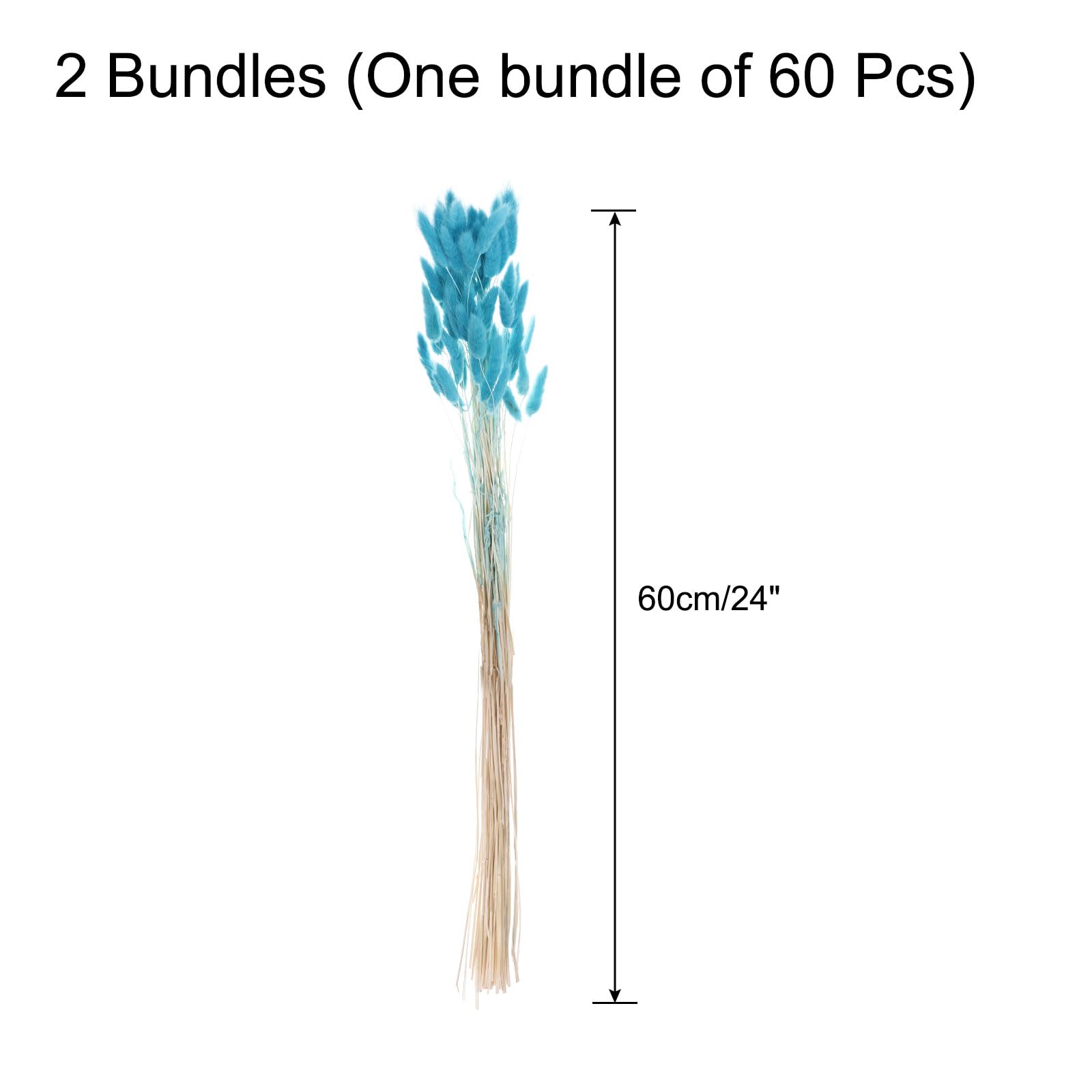 QUARKZMAN 120Pcs Queue Lapin Naturelle Fleurs Séchées 60cm Bleu Ciel Clair | Mini Herbe de Pampa Lagurus Ovatus, Bouquet pour Décoration Florale Mariage Noël