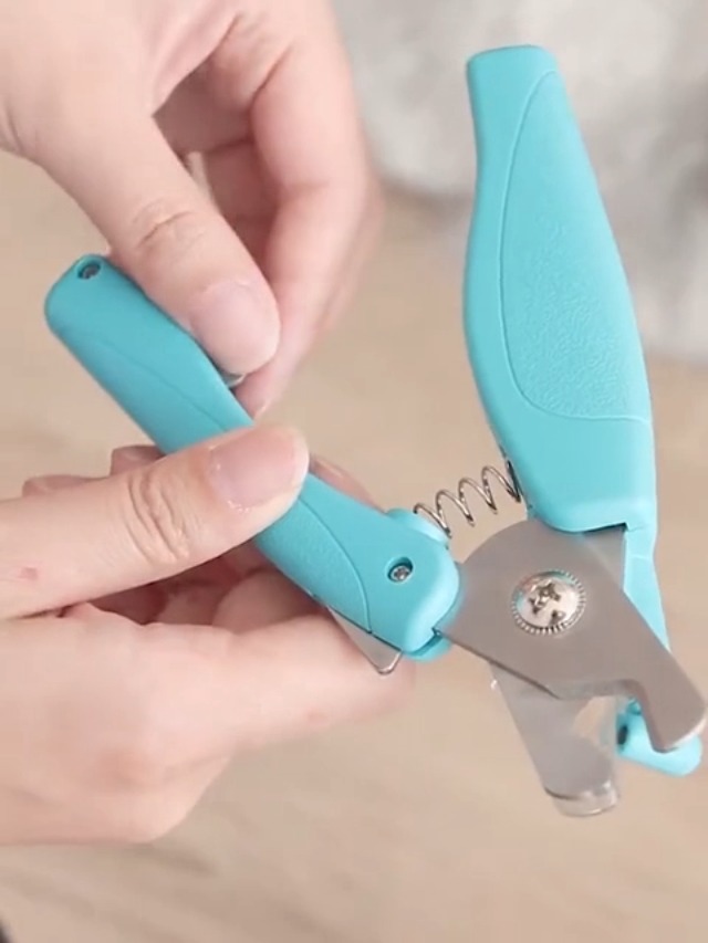Beste Nagelknipper (2026): Getest en Vergeleken Beste Nagelknipper (2026): Getest en Vergeleken