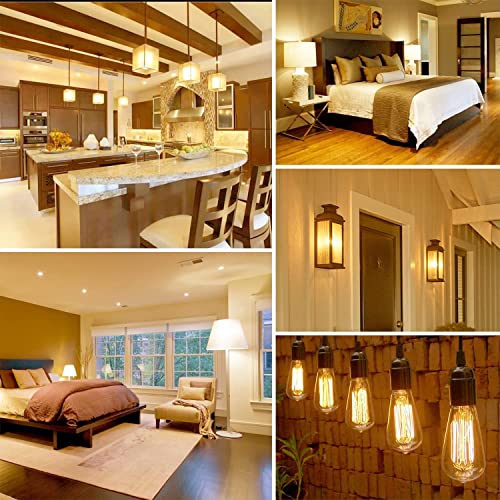 daybetter 4 pack vintage led edison bulbs e26 led bulb 60w equivalent dimmable led light bulbs high brightness 800 lm warm white 2700k st58 antique led filament bulbs clear glass style for home