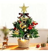 Amazon.co.jp: Dalugo クリスマスツリー 卓上 ミニツリー オーナメント