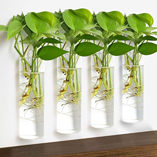 Vumdua Wall Hanging Planters, 4 Pcs Glass Planters Hanging Glass Terrarium, Glass Plant Containers Wall Vase Perfect For Propagating Hydroponic Plants Home Garden Wedding Decor #TOP5