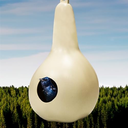 Bestnest PMG-4 Heath Purple Martin Gourds thumb #1