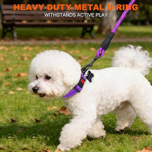 Image of Taglory Reflective Dog Collar for Puppies, Gentle and Safe for Night Walks