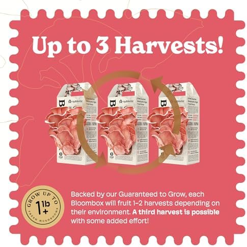 BloomBox Pink Oyster Mushroom Grow Kit