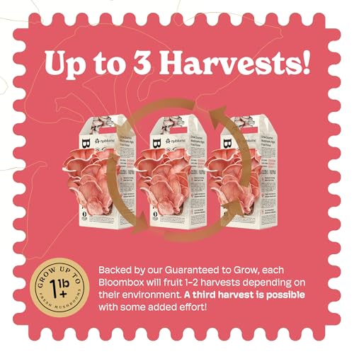 Pink Oyster Mushroom Grow Kit, Grow Your Own Fresh Gourmet Mushrooms at Home, Includes Instructions and Recipes (Pink Oyster)