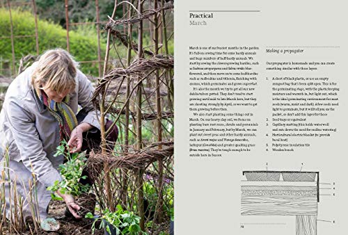 A Year Full of Flowers: Gardening for all seasons - Image 5