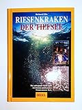 riesenkrake pottwal  RIESENKRAKEN DER TIEFSEE