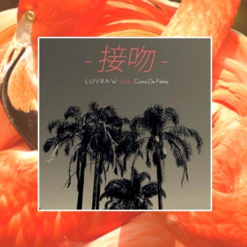 ⭐︎レア盤⭐︎ LUVRAW Ft. COSTA DE PALMA / 接吻 Amazon.co.jp: 接吻 -kiss- : LUVRAW feat. Costa De Palma
