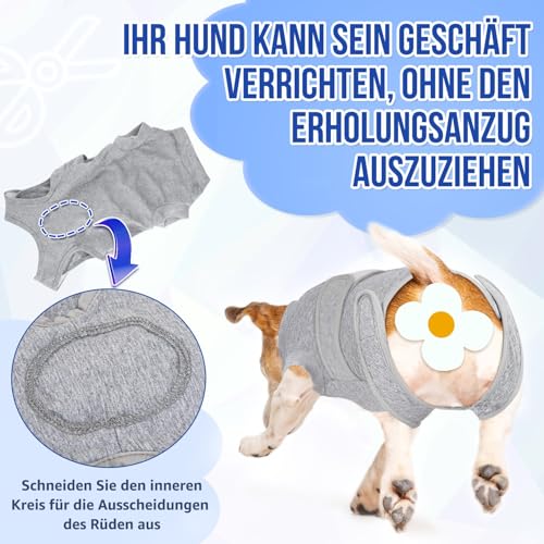SlowTon Hundebody nach Op, weicher atmungsaktiver Leckschutz Anti-Wundlecken Erholungsanzug mit Reißverschluss, E-Halsband Alternative Einteiler für Hundebody nach Kastration Rüden Hündin