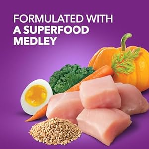 IAMS Advanced Health Immune Health Adult Dry Dog Food Chicken Exclusive Superfoods Medley Recipe 135 lb Bag