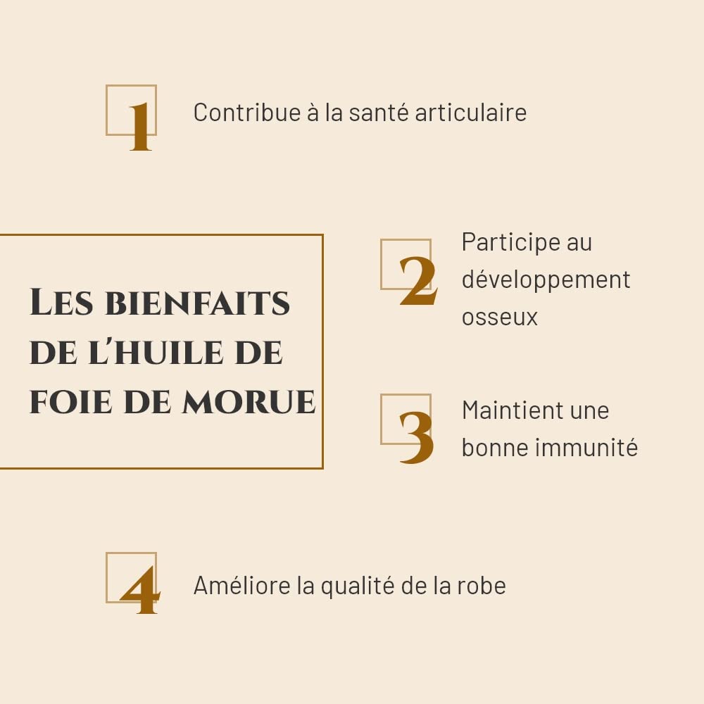 Huile DE Foie DE MORUE - Complément nutritionnel Cheval - Bidon 5 L - Articulations - Reprise d'état Cheval - Immunité - Source d'oméga 3 et vitamines A et D - Marque française