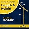 Hola! Microphone Stand - Mic Stand w/ Adjustable Height and Boom Arm for Home, Studio, Office or Stage - Standard Clutch Single Unit #1