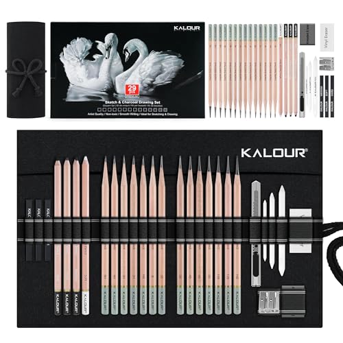 KALOUR Conjunto de 29 lápis de desenho profissionais com estojo de nylon dobrável – 14 lápis de grafite (14B–5H), lápis de carvão, borrachas, apontador e tocos – kit de arte completo para artistas e