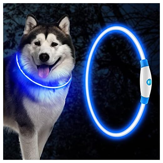 DazSpirit Collar De Luz Led para Perro, Collar De Perro Luminoso USB Recargable, Collar De Perro Cortable, Collar De Seguridad para Mascotas, para Perros Pequeños/Medianos/Grandes, 3 Modos(Azul)