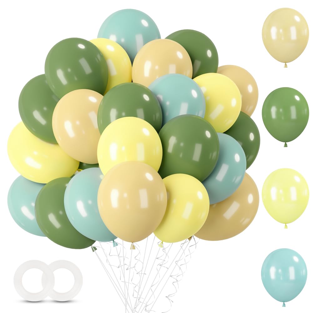 Alaoo Sage Green Blue Balloons, 60Pcs 12 Inch Balloons Set with Four Color Balloon, Beautiful Balloon for Graduation Birthday Wedding Party Decorations, Blue and Green