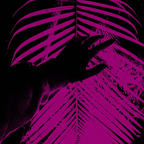 Black Flower, Cyber Garden Black Flower, Cyber Garden