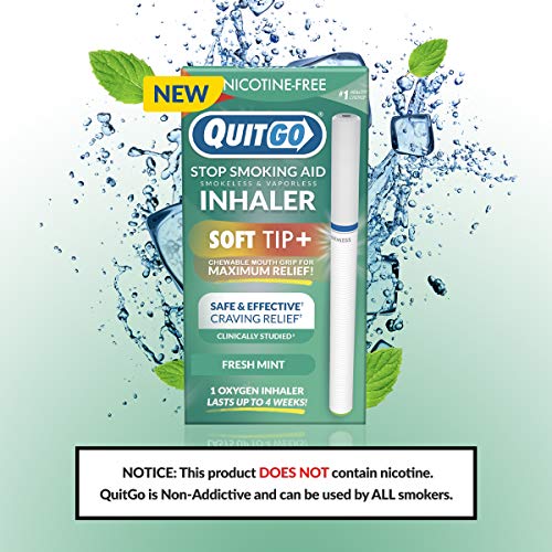 Quit Smoking Aid Oxygen Inhaler + Soft Tip Chewable Filter to Help Curb Cravings, Nicotine Free Non-Addictive Stop Smoking Support & Oral Fixation Relief (1 Pack, Fresh Mint)