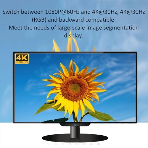 Falta de espacio solucionada con el multivisor HDMI 9x1 para vídeo 4