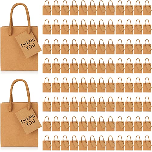 Sherr 100 Pcs Mini Gift Bags Bulk 4 x 2.75 x 4.5 in Paper Bag with Tag Extra Small Paper Gift Boxes with Handles for Birthday Party Favor Wedding Small Business Spring Easter(Brown)