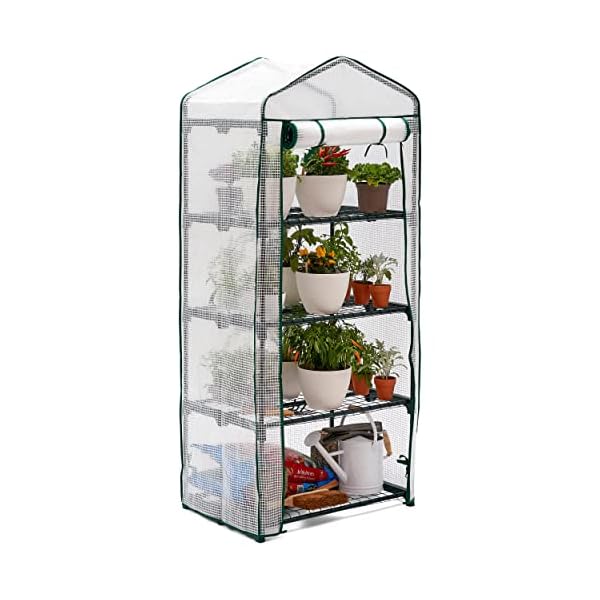 BRAMBLE 4 Tier Mini Greenhouse Indoor Outdoor Upgraded Version (63"H x 27"L x 19"W) - Plants Greenhouse with Side Window, Tools Storage Pocket, Reinforced PE Cover, Steel Frame, Roll-Up Zipper Door