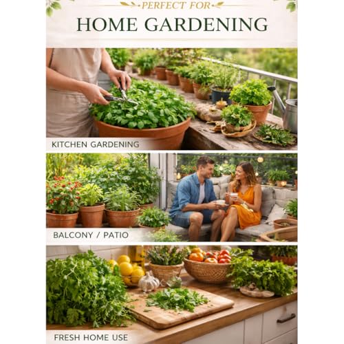 Image of Saphirre Seeds Herb Seeds Combo Pack | 8 Varieties | 950+ Seeds | Rosemary, Mint, Lavender, Tulsi, Red Basil, Parsley, Celery & Lettuce | High Germination | Easy to Grow for Home Gardening