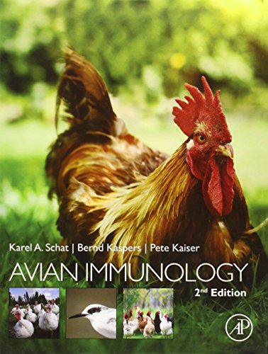 Avian Immunology view 2