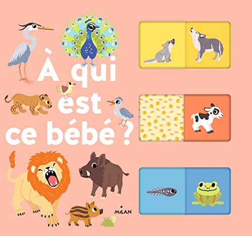À qui est ce bébé ?