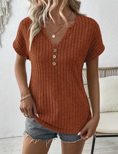 Image of LURANEE Womens Short Sleeve Sweaters V Neck Tops Lightweight Dressy Casual Shirts Work Blouses S-XXL
