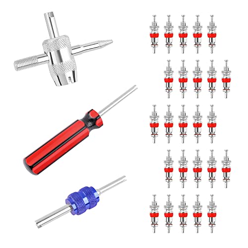 IHOTDER 3PCS Multifunctional Tire Valve Stem Removal Tool + 25PCS ...