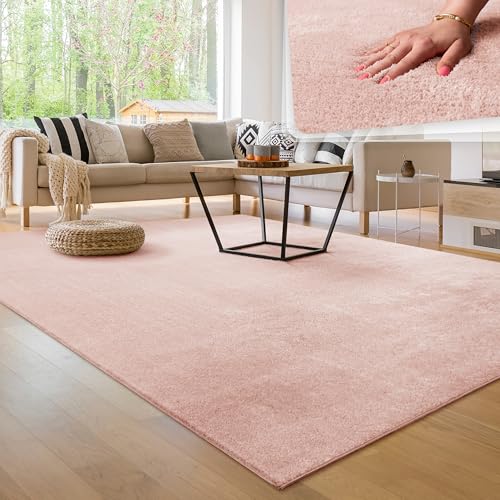 Paco Home Tapis Salon Moelleux Ultra Doux à Poils Courts - Antidérapant, Lavable, Confort Idéal...