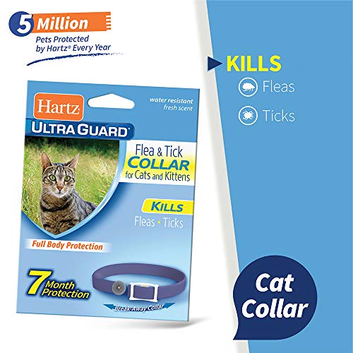 hartz ultraguard for cats collar