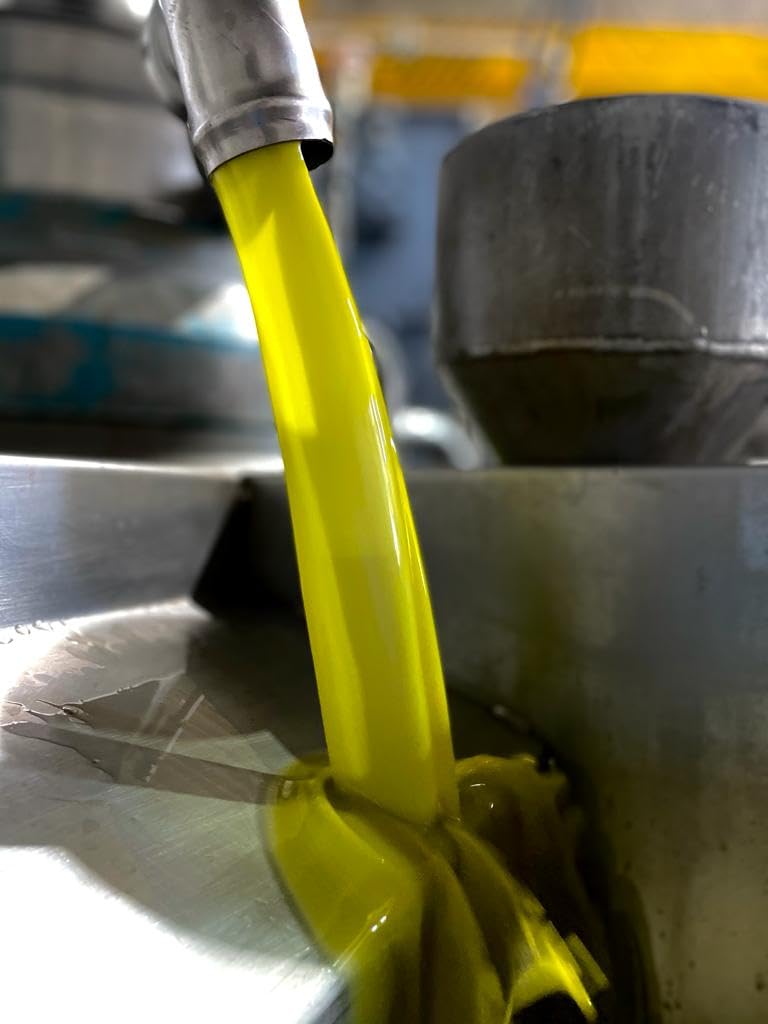 ALMAOLIVA Bio oliwa z oliwek z pierwszego tłoczenia butelka 500 ml