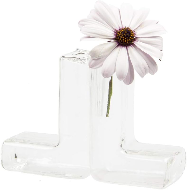 Chive - Set of 6 L Tube, Small Clear Glass Bud Vase for Short Flowers, Unique Flower Vase Sets for Home Decor, Weddings, Floral Arranging, Event, Place Settings