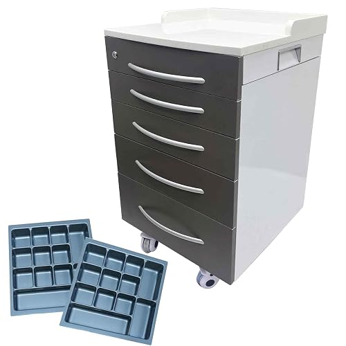 BEILOCKERY 5 Drawers Dental Storage Cabinet with Dividers, Stainless Steel Cabinet Mobile Cart, Dental Mobile Cart with Wheels, for Clinics, Hospitals and Offices, Lockable