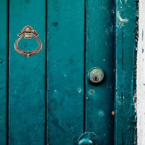Aldaba de puerta vintage en zinc: elegancia y resistencia retro para la entrada de su hogar 7