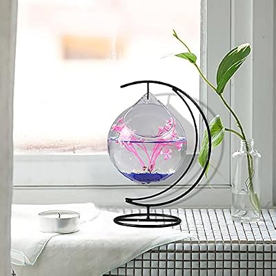 Desk Hanging Fish Tank Bowl with Stand, Mini Table Aquarium Glass Betta Fish Bowl, Creative Fish Vase Aquarium Bowl, Clear Plant Terrarium for Home Tabletop Office Garden Decor, A4