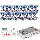 1000PCS 12MM WS2811 Full-Color Led Pixel Module IP68+T-1000S WS2811 Led Controller+5V 60A Led Power Adapter