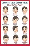French Language School Poster: French Words About Feelings with English Translation - Classroom Chart