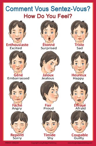 French Language School Poster: French Words About Feelings with English Translation - Classroom Chart