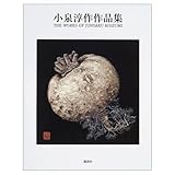 小泉淳作作品集