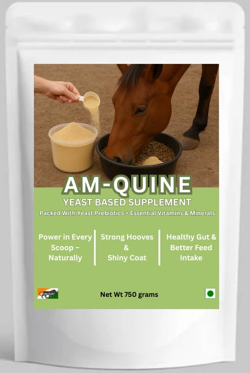 AM-QUINE | Yeast Based Supplement | Yeast for Horse | 750 Grams | Powder-image-14