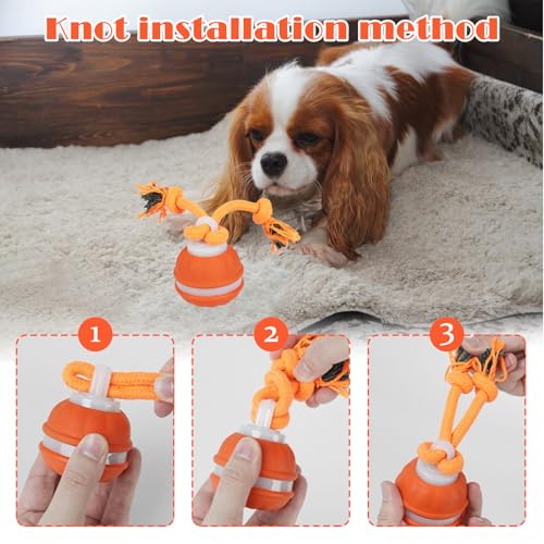 TZQFROCE Interaktives Hundespielzeug Hunde Ball Spielzeug Automatisch Rollender Ball für Hunde interaktiver Hundespielball für Aktivitäten und Unterhaltung