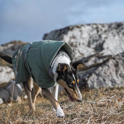 Hurtta Extreme Warmer Hundemantel, Winterjacke für Hunde Dunkelgrau 45cm
