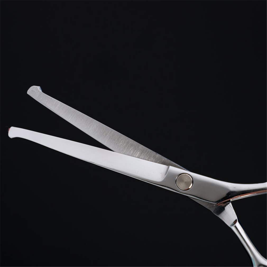 Set di forbici per toelettatura animali domestici Forbici per animali domestici (6,0 pollici) 4 pezzi Forbici per toelettatura cani con lama in acciaio inossidabile con punta tonda Forbici curve super