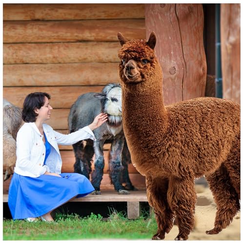 Image of Geelin 5 ft Llama Cardboard Cutout Stand up Life Size Animal Stand up Safari Jungle Photo Booths Prop Cut Out for Zoo Safari Jungle Themed Birthday Party Decoration Supplies