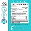 Zenwise Digestive Enzymes - Probiotic Multi Enzyme with Probiotics and Prebiotics for Digestive Health and Bloating Relief for Women and Men, Enzymes for Gut Health - 180 Count