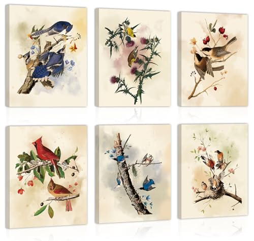 Image of CHDITB Vintage Bird Framed Canvas Wall Art, Spring Birds Illustration, Nature Wildlife Wall Decor, Botanical Bird Poster, Retro Watercolor Art Prints For Living Room Bedroom Kitchen Decor 8 inchX10 inchx6
