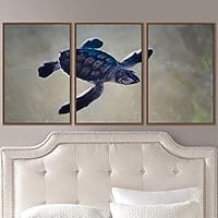 3 Piece Framed Canvas Wall Art Turtle Under The Surface Canvas Prints Home Artwork Decoration for Living Room,Bedroom - 16