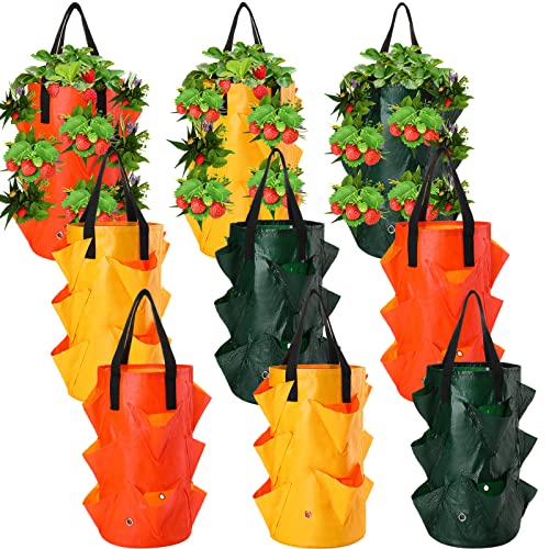 Gerrii 9 Pcs Hanging Strawberry Planter 3 Gallon Strawberry Upside Down Planter Plastic Strawberry Grow Bags with Handles Foldable Planting Container for Tomato Herb Vegetables Flower Gardening